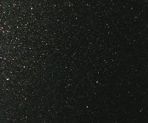 Black Starlight